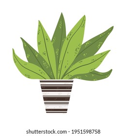 Colorful single houseplants in pot. Vector illustrations of Indoor plant in flowerpot. Flowers in pot in flat cartoon style. Isolated on white background.