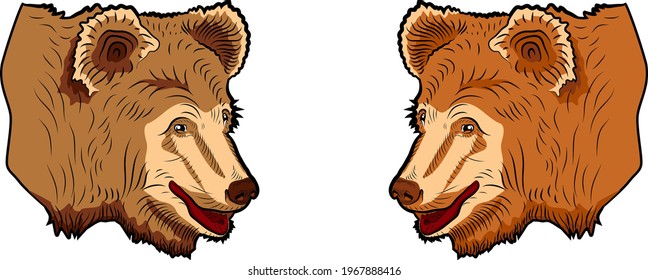 Colorful sketch. Head of bear. Cartoon style