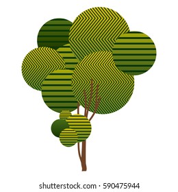 colorful sketch high leafy tree plant with striped lines and thin trunk vector illustration