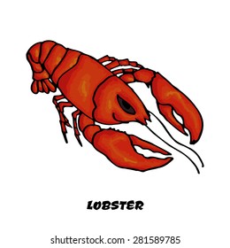 Colorful sketch lobster as a design element