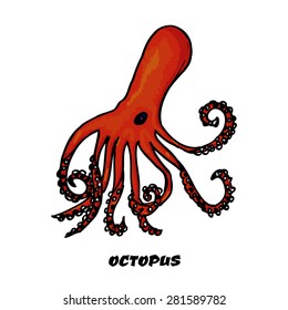 Colorful sketch octopus as a design element
