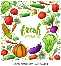 Colorful sketch style set of vegetables icons. Eco organic fresh template with vegetables for the decoration of menu. Vector.