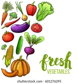 Colorful sketch style set of vegetables icons. Eco organic fresh template with vegetables for the decoration of menu. Vector.