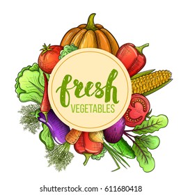 Colorful sketch style set of vegetables icons. Eco organic fresh template with vegetables for the decoration of menu. Vector.