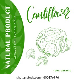 Colorful sketch vegetable. Healthy food poster. Farmers market design with cauliflower. Vector illustration