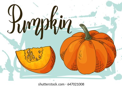 Colorful sketch vegetable. Healthy food poster Farmers market design with pumpkin. Vector illustration