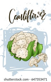 Colorful sketch vegetable. Healthy food poster Farmers market design with carniflower. Vector illustration