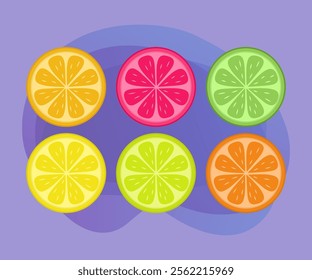 Colorful slices of citrus fruits vector illustrations set. Collection of drawings of orange, yellow, green, pink pieces of fruits  on abstract background. Food, nutrition, diet, summer concept