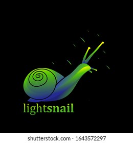 Colorful snail illustration on dark background