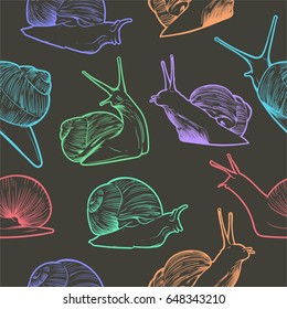 Colorful snail pattern in the darker background