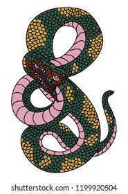 Colorful Snake cobra for tattoo style isolate on white background.