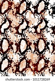 colorful snake skin texture