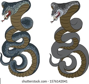 Colorful snake for sticker printing on background.King snake vector for tattoo style or printing on T-shirt.Cobra snake illustration for doodle art isolated on white background.Japanese tattoo.