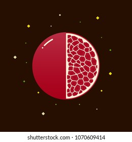Colorful spherical vector fruits