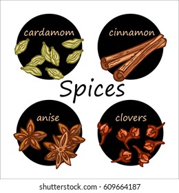 Colorful spices card, vector illustration