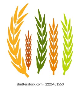 colorful spikelets. Icon symbol. Vector illustration. Stock image. 