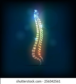 Colorful spine vertebral column, bright design