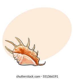 Colorful spiral conch sea shell, sketch style vector illustration isolated on background with place for text. Realistic hand drawing of saltwater conch, sea snail shell
