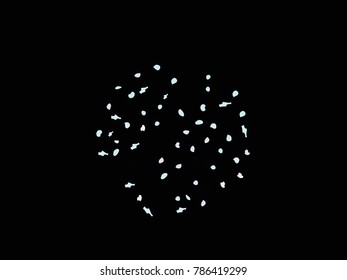 Colorful spots. Black background. Abstract print pattern. Vector illustration for celebration, party, holiday, invitation and Your project. Chaotic Decor. Modern Creative Style.