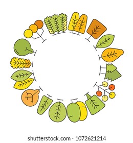 colorful spring and autumn tree border blank circle shape for text, ecology concept