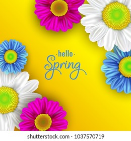 Colorful spring background with beautiful flowers. Vector illustration