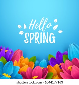 Colorful spring background with beautiful flowers. Vector illustration