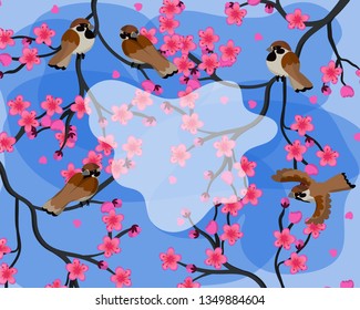 Colorful spring background with sparrows sitting on sakura branches vector image