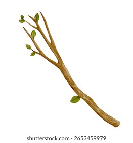 Colorful spring branch with green leaves. Vector graphics.