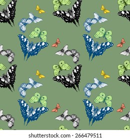 Colorful spring butterflies seamless pattern on green background vector illustration