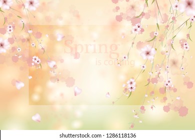 Colorful spring floral background with sakura flowers. Watercolor flower frame.  Beautiful floral background