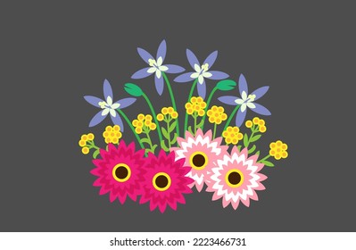 Colorful spring flower bed. Sky Mist, Desert Flame and Everlasting Daisy flowers.