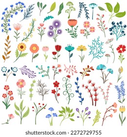 Colorful spring flower vector set