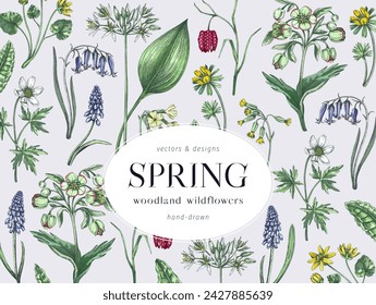 Colorful spring flowers background. Woodland flower, greenery, forest plants sketches. Botanical design in color. Wildflowers frame. Hand-drawn vector illustrations, NOT AI generated