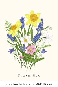 Colorful spring flowers. Botanical card. Design elements. Vintage background. Narcissus, snowdrop, muscari, lily of the valley, scylla.