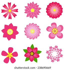 colorful spring flowers collection vector illustration