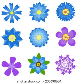colorful spring flowers collection vector illustration