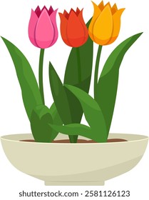  Colorful spring flowers in flowerpot isolated on a transparent background. Tulip planted in ceramic pot. Spring and summer garden plant. Vector illustration