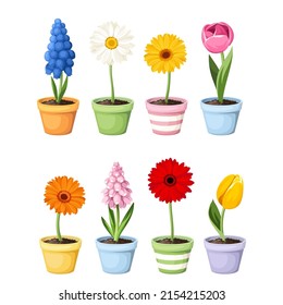 Colorful spring flowers in flowerpots isolated on a white background. Set of vector illustrations