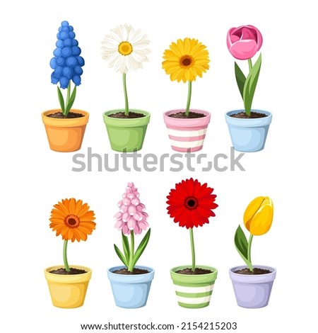 Colorful spring flowers in flowerpots isolated on a white background. Set of vector illustrations