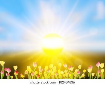 Colorful spring flowers tulips. And also includes EPS 10 vector