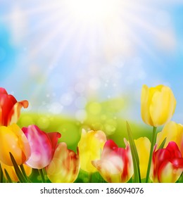 Colorful spring flowers tulips. And also includes EPS 10 vector