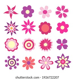 colorful spring flowers vector illustration 