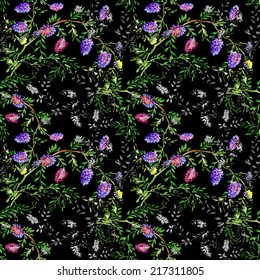 Colorful spring wildflowers seamless pattern on black background vector illustration