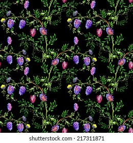 Colorful spring wildflowers seamless pattern on black background vector illustration