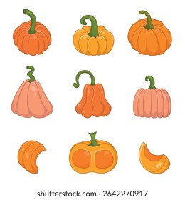 Colorful Squash and Pumpkin Set in Cute Hand Drawn Style with Slices. Decorative harvest vegetables isolated on cream background, perfect for farm, autumn, Thanksgiving designs invitations, cards
