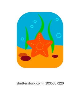 Colorful starfish icon isolated on white. Travel icon. Vacation icon. Cruise icon. Vector illustration.