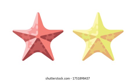 Colorful starfish summer flat icons. vector