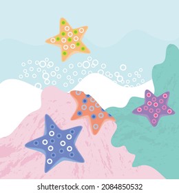Colorful Starfish Under The Sea
