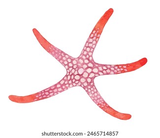 Colorful Starfish, Underwater Life watercolor vector illustration isolated on white background