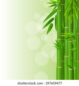 Colorful Stems and Bamboo Leaves Background. Vector Illustration. EPS10